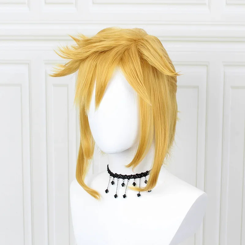 2026 Legend Of Zlda: Breath Of - Anime Cosplay Link recension och pris